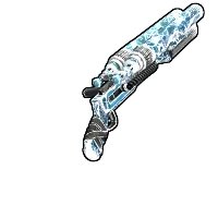 Skin's image