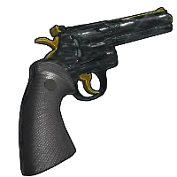 Skin's image