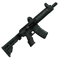 Skin's image