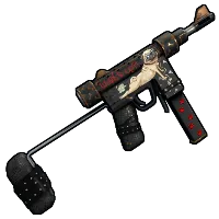 Skin's image