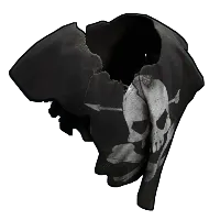 Skin's image