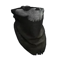Skin's image