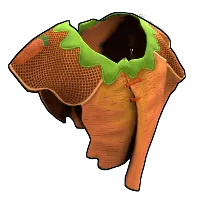 Skin's image