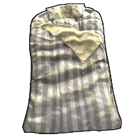 Skin's image