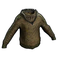 Skin's image
