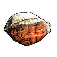 Skin's image