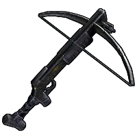 Skin's image