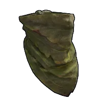 Skin's image