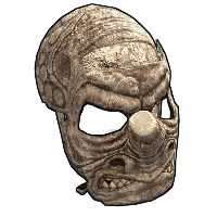 Skin's image