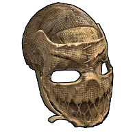 Skin's image