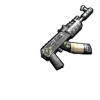 Skin's image