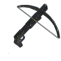 Skin's image