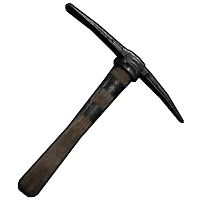 Skin's image