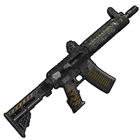 Skin's image