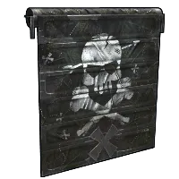 Skin's image