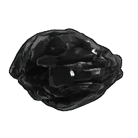 Skin's image