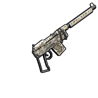 Skin's image