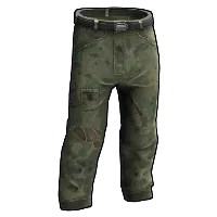 Skin's image