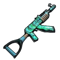 Skin's image