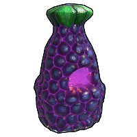 Skin's image