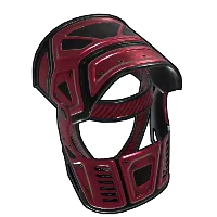Skin's image