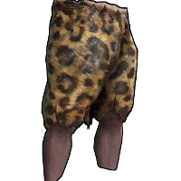 Skin's image