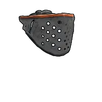 Skin's image