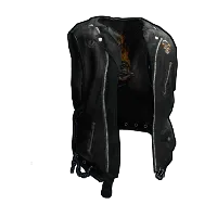 Skin's image
