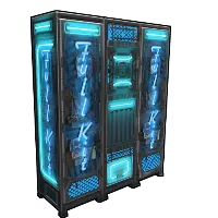 Skin's image