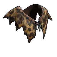 Skin's image