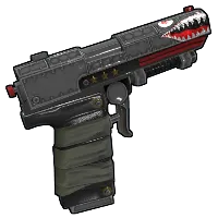 Skin's image