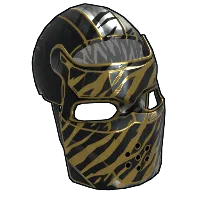 Skin's image