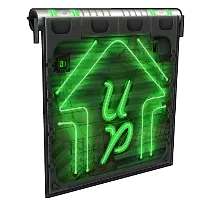 Skin's image
