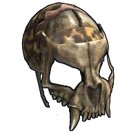 Skin's image