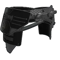 Skin's image