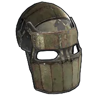 Skin's image