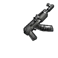Skin's image