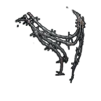 Skin's image