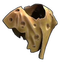 Skin's image
