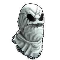 Skin's image
