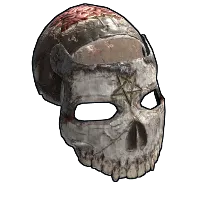 Skin's image
