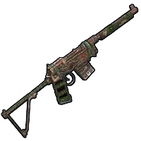 Skin's image