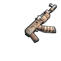 Skin's image