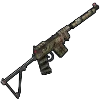 Skin's image