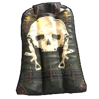 Skin's image