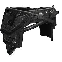 Skin's image