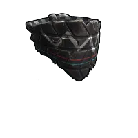 Skin's image