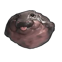 Skin's image