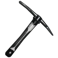 Skin's image