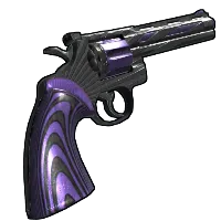 Skin's image